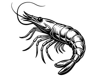 Shrimp. Cut files for Cricut. Clip Art silhouette (eps, svg, pdf, png, jpeg)