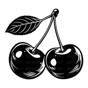 May include: Black and white illustration of two cherries with stems and a leaf. The cherries are round with highlights, and the leaf has detailed veining. The image has a vintage or botanical style.