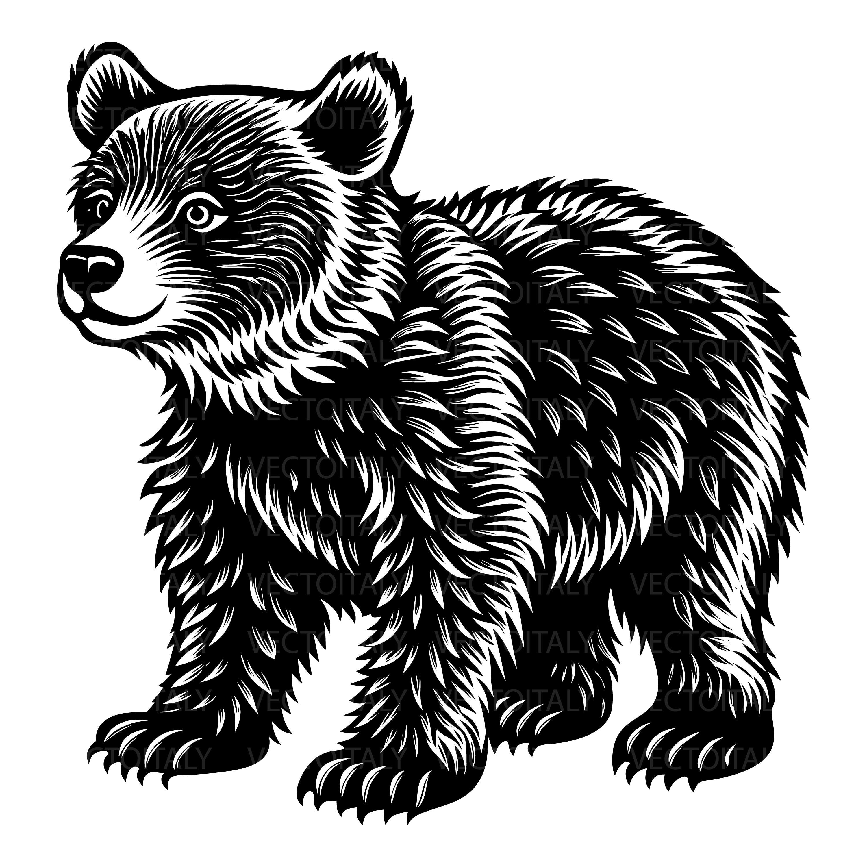 Unidad en la diversidad. Las subespecies de oso pardo., image size:3000x3000