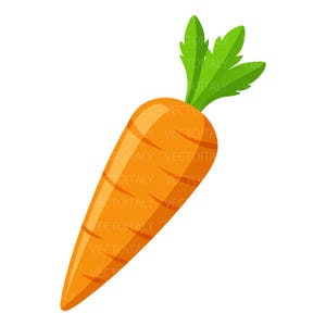 Può includere: Una carota arancione brillante con foglie verdi. Questa illustrazione è ideale per progetti legati al cibo o risorse educative. L'immagine è una rappresentazione allegra di una verdura fresca.