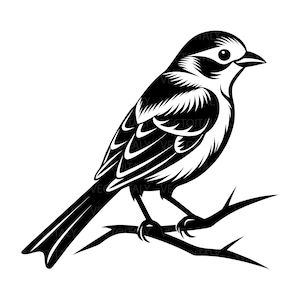 Può includere: Un'illustrazione grafica in bianco e nero di un piccolo uccello appollaiato su un ramo sottile e spoglio. L'uccello è raffigurato di profilo, rivolto verso destra, con piumaggio dettagliato, un becco appuntito e un occhio rotondo.