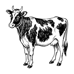 May include: Black and white illustration of a cow. The cow has black spots on its body and a black head. The cow is standing and facing left. The image is a vector graphic.