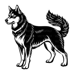 Può includere: Illustrazione in bianco e nero di un cane husky in piedi con la coda arrotolata. Il cane è rivolto a sinistra e ha un'espressione seria.