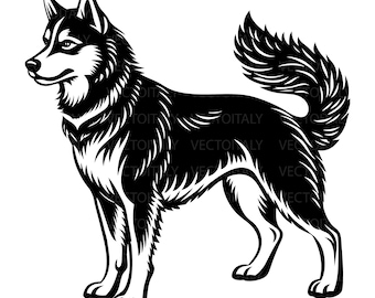 May include: Black and white illustration of a husky dog standing with its tail curled up. The dog is facing to the left and has a serious expression.