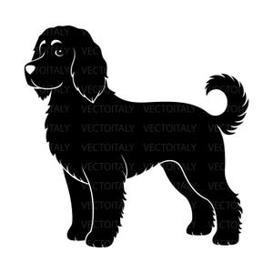 May include: A black silhouette of a dog, standing with its tail curled. The dog has a fluffy coat and is facing left. The image has the text "VECTOITALY" repeated in the background.