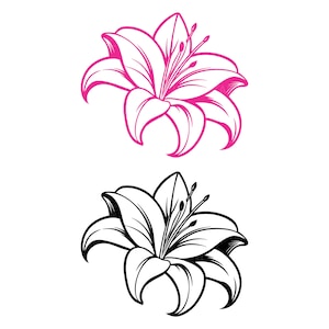 May include: Two lily flower illustrations. The top flower is a vibrant pink outline, showcasing the petals and stamen. The bottom flower is a black and white outline, mirroring the design. Both are set against a clean white background.