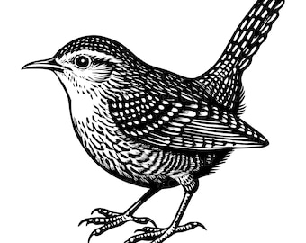 Vogel SVG, PNG, EPS, Pdf, Directe download, Digitale download, Prachtige feeënwinterkoning clipart, SVG-bestanden voor Cricut, Silhouet van een winterkoning