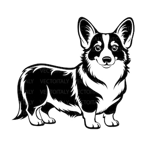 Op de afbeelding: Een zwart-witte grafische illustratie van een Corgi-hond die in profiel staat en naar voren kijkt, met grote puntige oren, een korte staart en een dikke vacht. Het ontwerp bevat contrastrijke, effen zwarte vormen op een witte achtergrond.