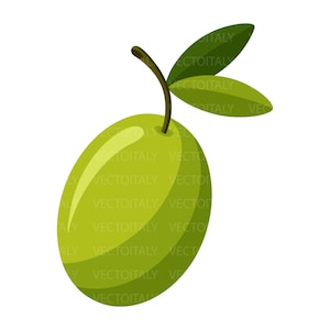 May include: A single oval-shaped green olive with a smooth surface and a subtle highlight on the left side. A thin brown stem extends from the top, connecting to two pointed, dark green leaves that extend upward and to the right.