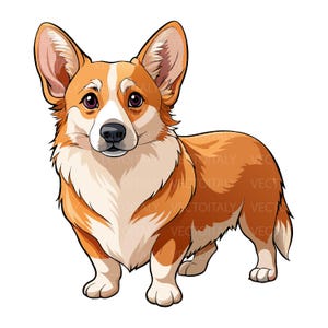 Op de afbeelding: Een digitale illustratie van een Pembroke Welsh Corgi hond die in zijaanzicht staat. De hond heeft een goud-oranje en witte vacht, grote rechtopstaande oren, donkerbruine ogen en een zwarte neus. De vacht is getekend met strakke lijnen.