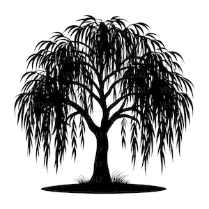 May include: A black silhouette of a weeping willow tree against a white background. The tree has a thick trunk, a full canopy of long, drooping branches, and a small patch of grass at its base.