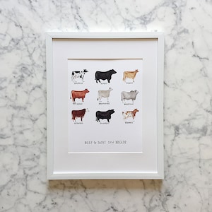 Beef and Dairy Cow Breeds Watercolor and Pen Art Print | Beef and Dairy Cattle | Cow Art | Cow Painting | Farmhouse Decor Art | Farm Art
