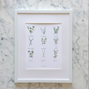 Herb Art Print | Types of Herbs Watercolor Painting | Herb Kitchen Decor | Mothers Day | Mom Herb Gift | Herb Kitchen Art | Cooking Gift