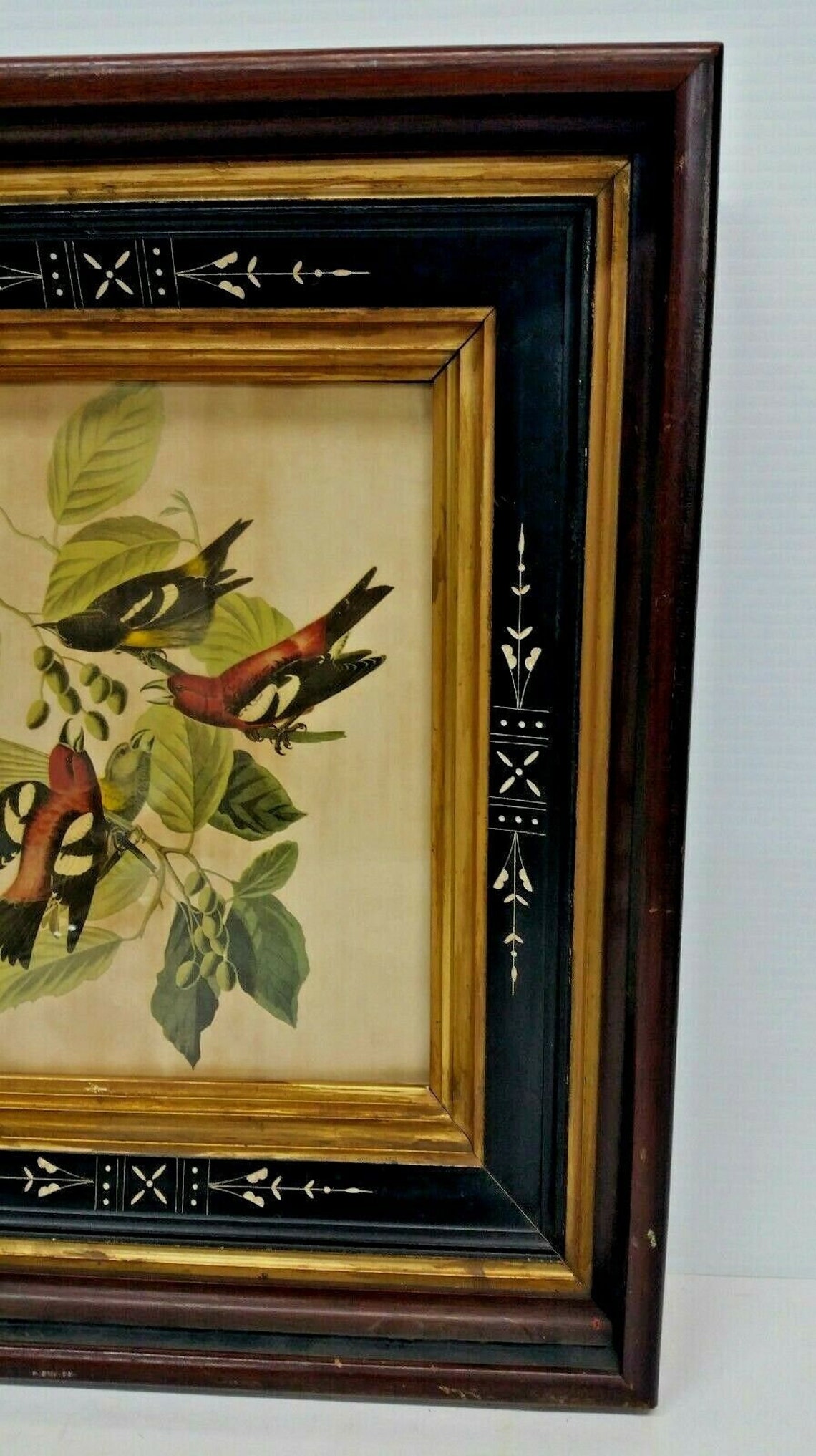 Offset Lithograph in Antique Frame Birds Perched on Branches Etsy