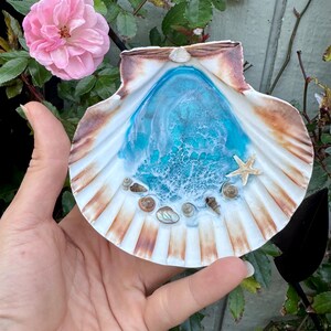 Made in Hawaii Ocean Shell Ring Dish | Jewelry Dish Maui Made | Beach ...