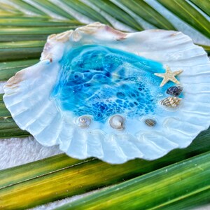 Made in Hawaii Ocean Shell Ring Dish Jewelry Dish Made on Maui Beach ...