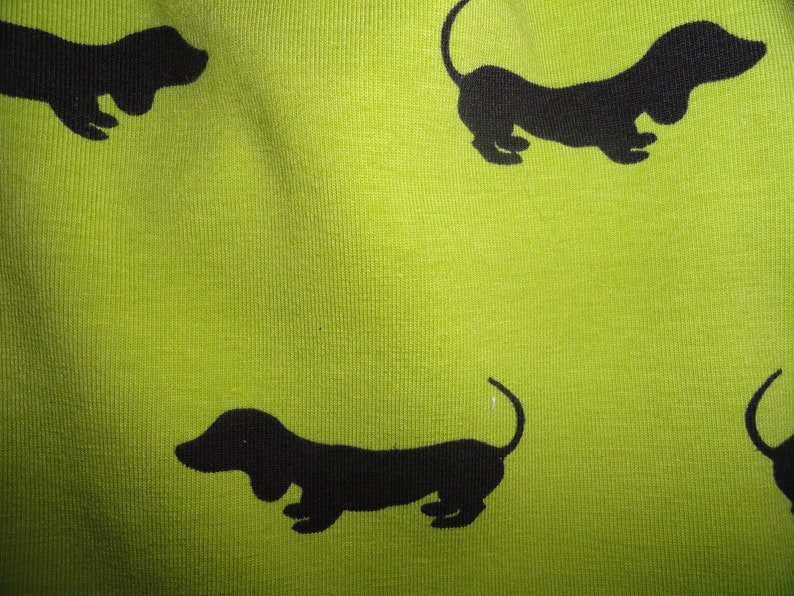 Beanie dachshund walk