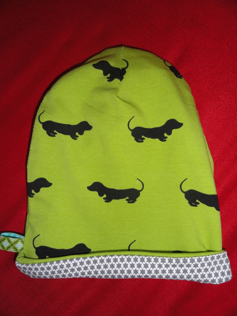 Beanie dachshund walk