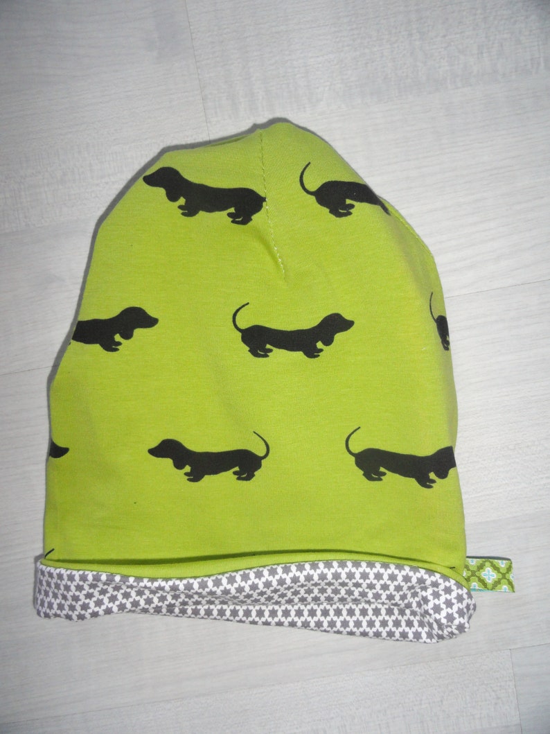 Beanie dachshund walk