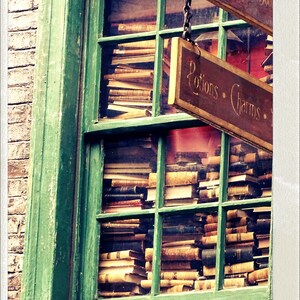 May include: A window display of a shop selling books, with stacks of books visible through the window. The shop has two signs hanging above the window, one that says "Standard Books" and another that says "Potions - Charms."
