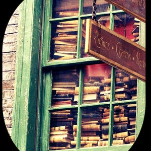 May include: A green wooden window with stacks of books inside. The window has two signs hanging from it. The top sign says "Standard Book of..." and the bottom sign says "Potions, Charms, Herbs".