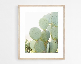 Cactus Art Print, Mint Green Decor, Prickly Pear Botanical Print, California Photography Print, Desert Wall Art for Nursery