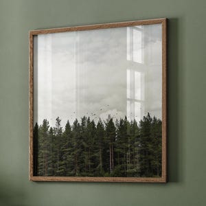 Woodland Photography Print, Moody Wall Decor, Nature Artwork for Masculine Living Room, Swedish Forest Landscape Print, Earth Tone Wall Art