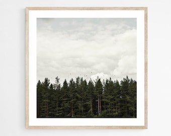 Woodland Photography Print, Moody Wall Decor, Nature Artwork for Masculine Living Room, Swedish Forest Landscape Print, Earth Tone Wall Art