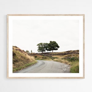 Fine Art Photography Landscape, Tree Print, Gray and Green Artwork, Peak District Print, Earth Tone Living Room Decor, Masculine Wall Art image 2