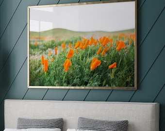 California Poppies Landscape Photography Print, Green and Orange Floral Botanical Art