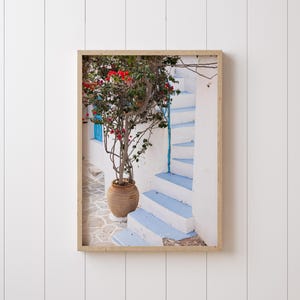 Impresión de Milos, Grecia: Escaleras azul claro con buganvillas, fotografía de las islas Cícladas griegas, arte mural mediterráneo