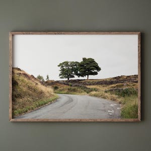 Fine Art Photography Tree Landscape, Peak District England Travel Print, Green Earth Tone Living Room Decor, Masculine Wall Art