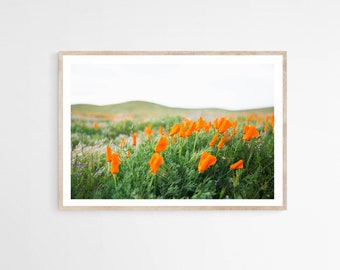 California Poppies Photography Print, Green and Orange Floral Art for Living Room, Springtime Landscape Art on Canvas, 20x30 Botanical Print