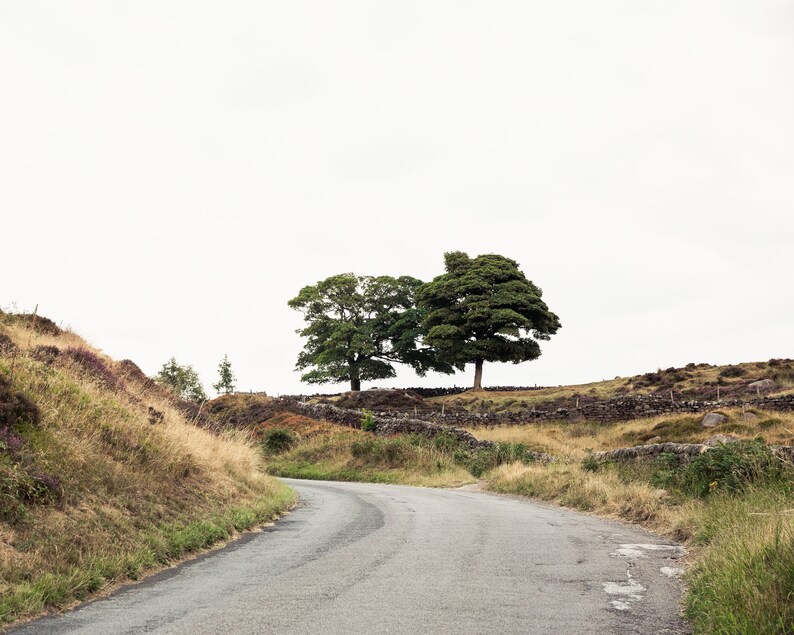 Fine Art Photography Landscape, Tree Print, Gray and Green Artwork, Peak District Print, Earth Tone Living Room Decor, Masculine Wall Art image 3