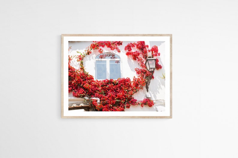 Positano Photography, Bougainvillea Print, Amalfi Coast Art, White and Red Decor, 30x40 Canvas Print, Fine Art Photography, Italian Decor image 1