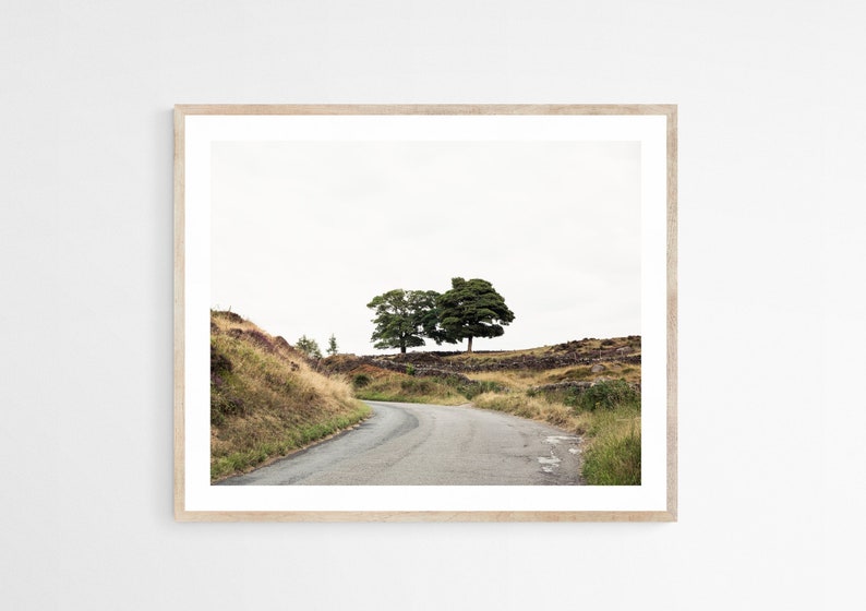 Fine Art Photography Landscape, Tree Print, Gray and Green Artwork, Peak District Print, Earth Tone Living Room Decor, Masculine Wall Art image 2