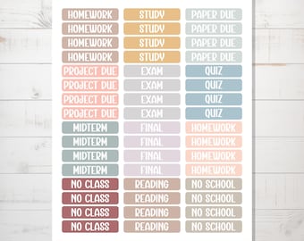 College Planner Stickers, School Stickers, Journal Stickers, BuJo, Journal School Stickers, School Planner Sticker Sheet