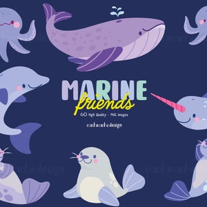 Sea Animals clipart. PNG images in High Quality -  Digital download