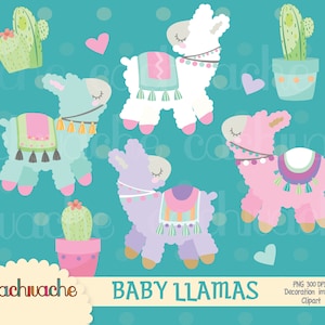 Clipart lama / Clipart alpaca / Clipart cactus / Clipart compleanno lama / Clipart succulenta, Clipart animale, Clipart cuore, PNG alpaca - HQ