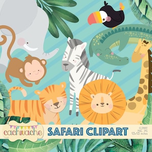 Safari clipart, jungle clipart, animals clipart, jungle party design 25 designs in PNG and JPG in HQ