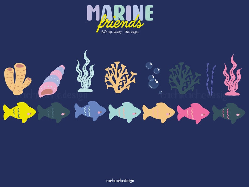 Sea Animals clipart. PNG images in High Quality -  Digital download