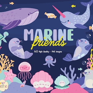 Cute Sea Animals - Ocean animals clipart. PNG images in High Quality -  Digital download