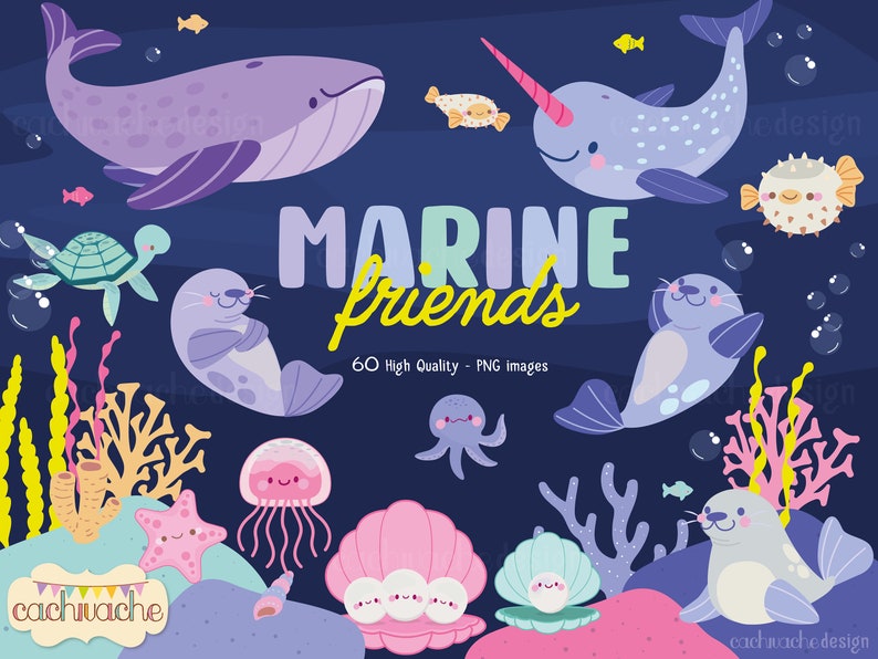 Cute Sea Animals - Ocean animals clipart. PNG images in High Quality -  Digital download