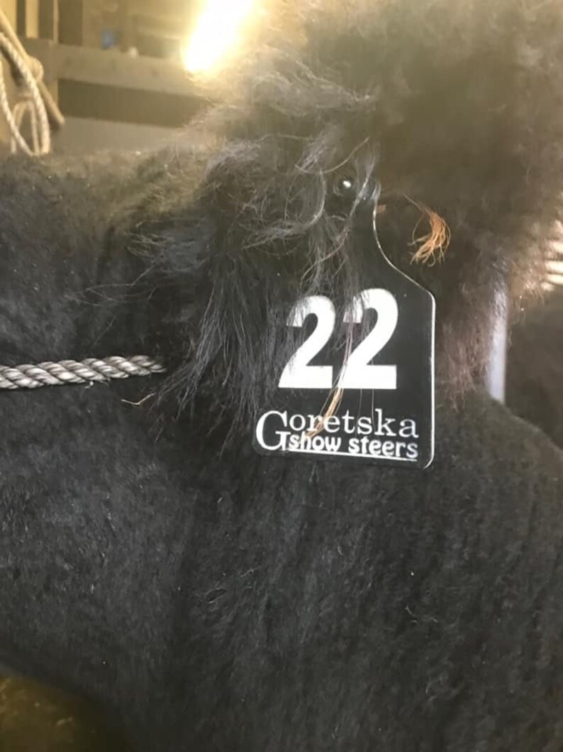ear tagger for cattle ear tagger for cattle