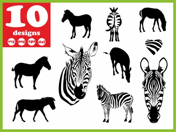 Download Zebra Svg File Face Digital Animal Download Wildlife Etsy