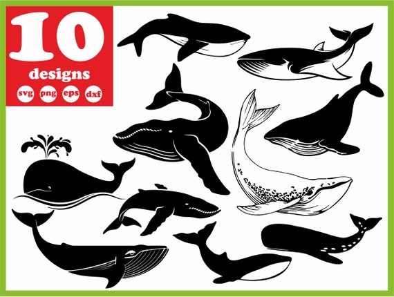 Whale Svg File Big Whale Digital Sealife Download Ocean Etsy