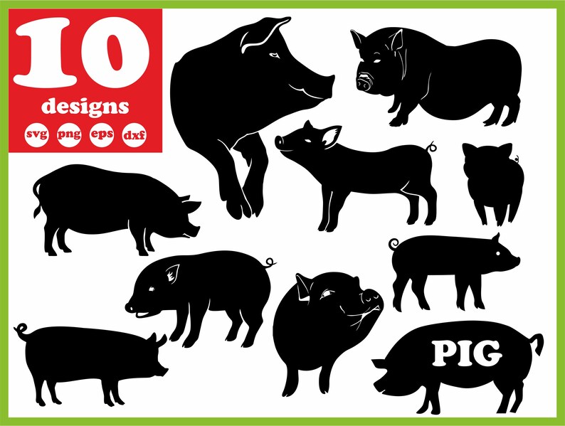 Pig Svg File Face Digital Cute Show Pig Download Silhouette Etsy