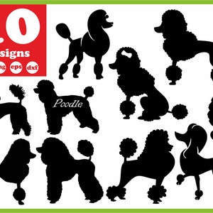 Poodle svg file Dog digital Diva download French silhouette vector decal for cricut clipart bundle vinyl stickers images monogram eps dxf