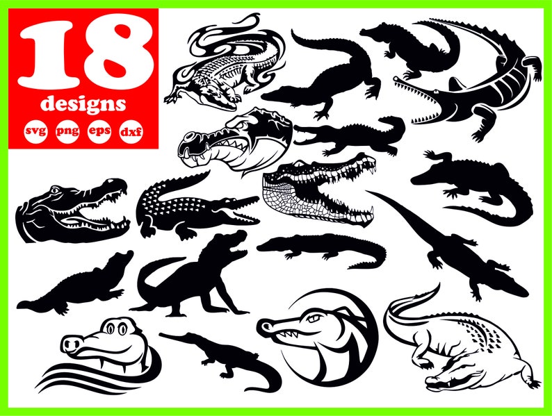 Crocodile svg file Alligator digital Wildlife download Reptile | Etsy