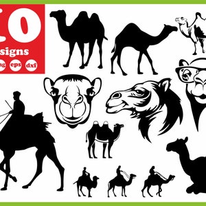 Camel svg file Animal vector Zoo decal for cricut clipart bundle digital download silhouette vinyl stickers monogram images sign pdf eps dxf